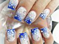 Winter nails (13)